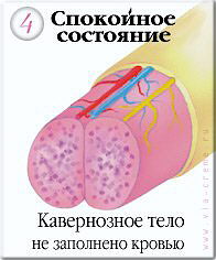 VOLUPTA