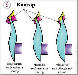 КЛИТОР
